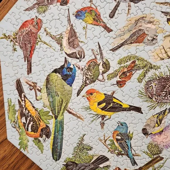 Vintage 500 Piece 1968 Springbok Octagon Puzzle Western Birds by Malick PZL 8015